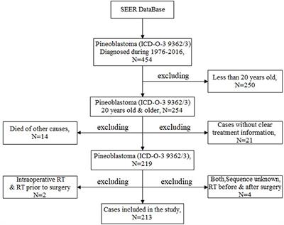 Development and Validation of a Prognostic Nomogram to Predict Cancer-Specific Survival in Adult Patients With Pineoblastoma